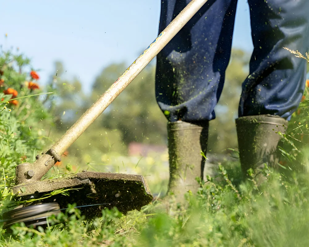Yohimbe Paysagiste A Pleumeleuc Pres De Rennes Debroussaillage