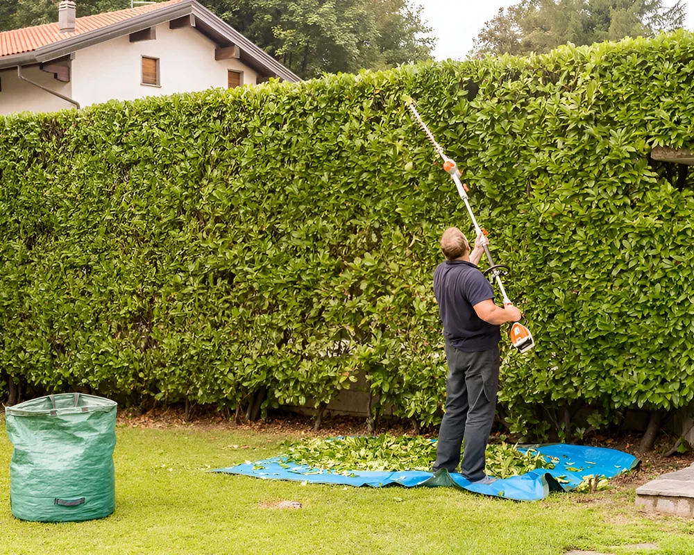Yohimbe Paysagiste A Pleumeleuc Pres De Rennes Taille