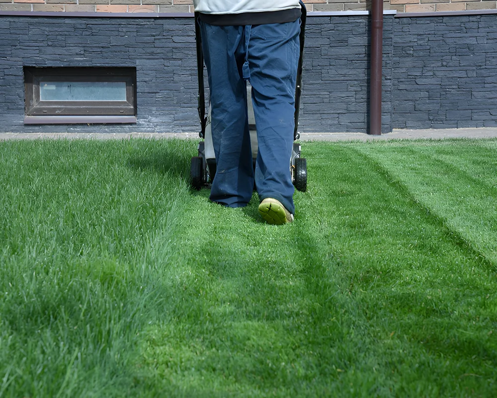 Yohimbe Paysagiste A Pleumeleuc Pres De Rennes Tonte