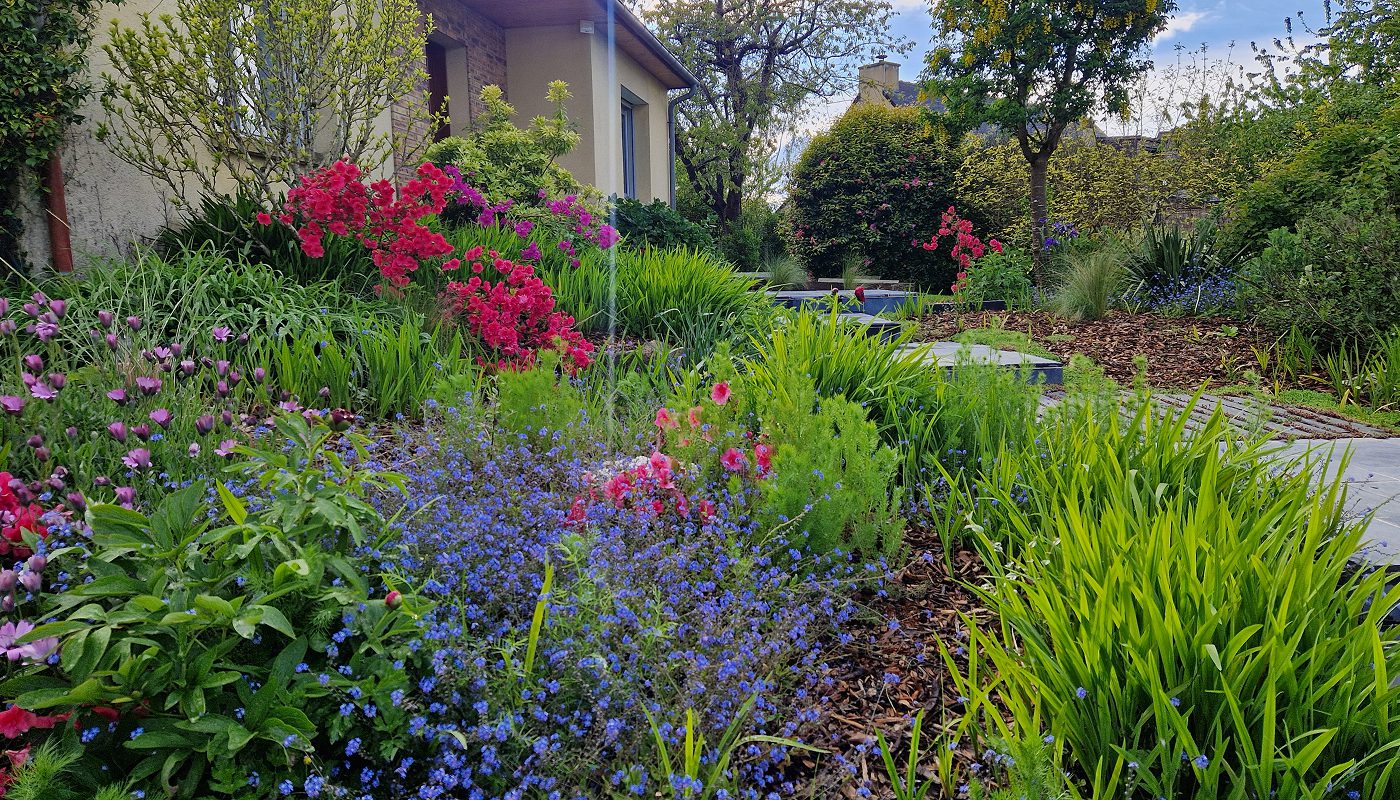 Yohimbe Paysagiste A Pleumeleuc Pres De Rennes Creation Jardin 3